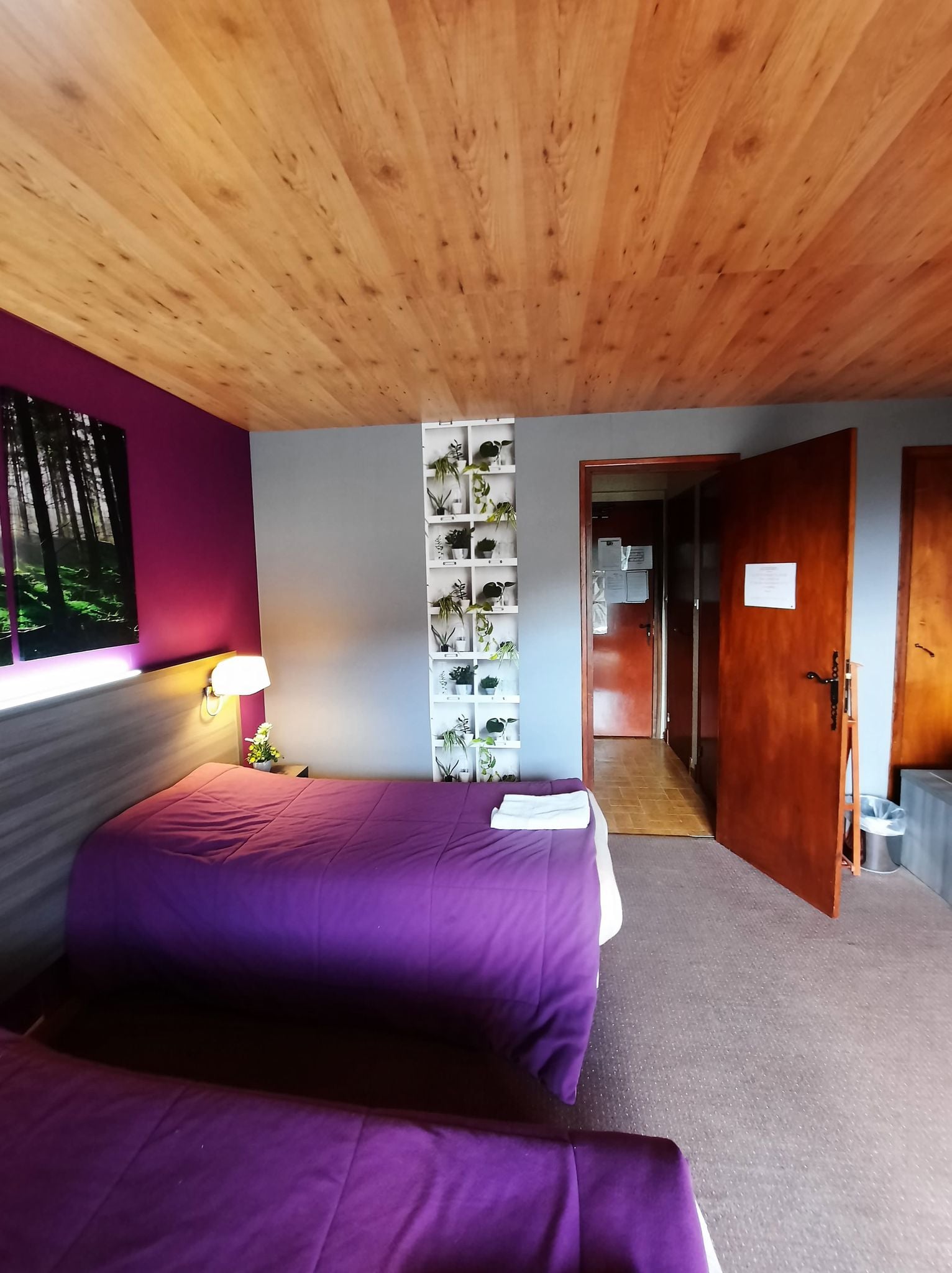 Chambre avec vue - H&ocirc;tel Les Chamois au Col de Turini