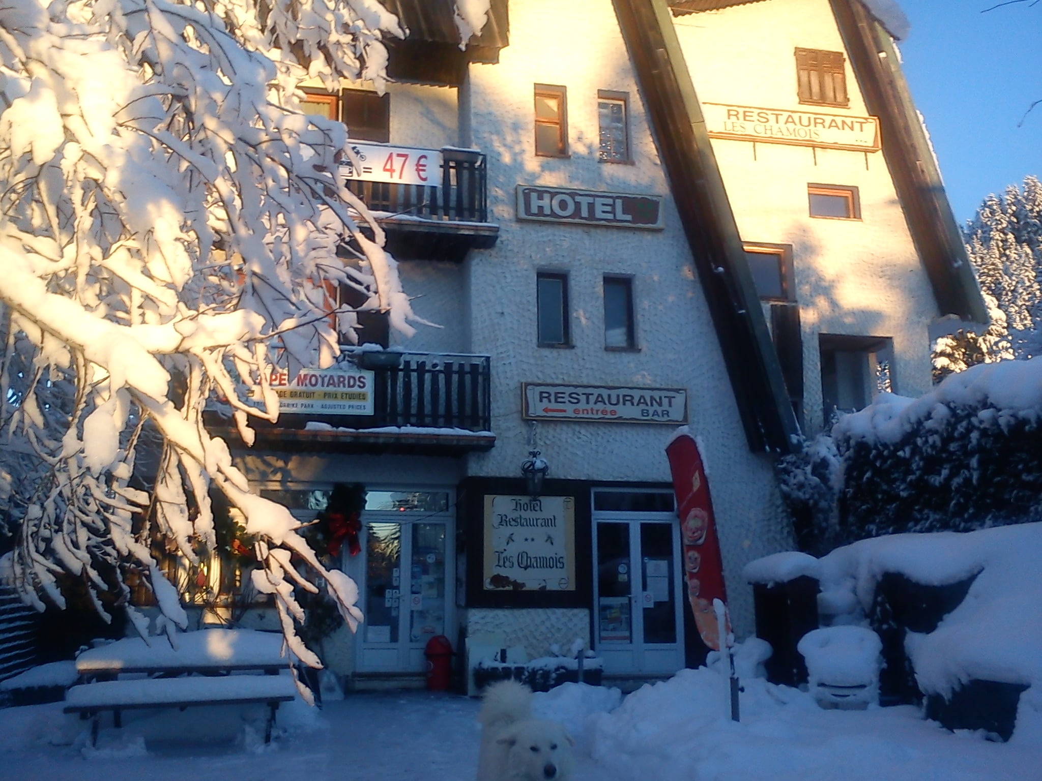 Fa&ccedil;ade de l'H&ocirc;tel Les Chamois sous la neige en hiver
